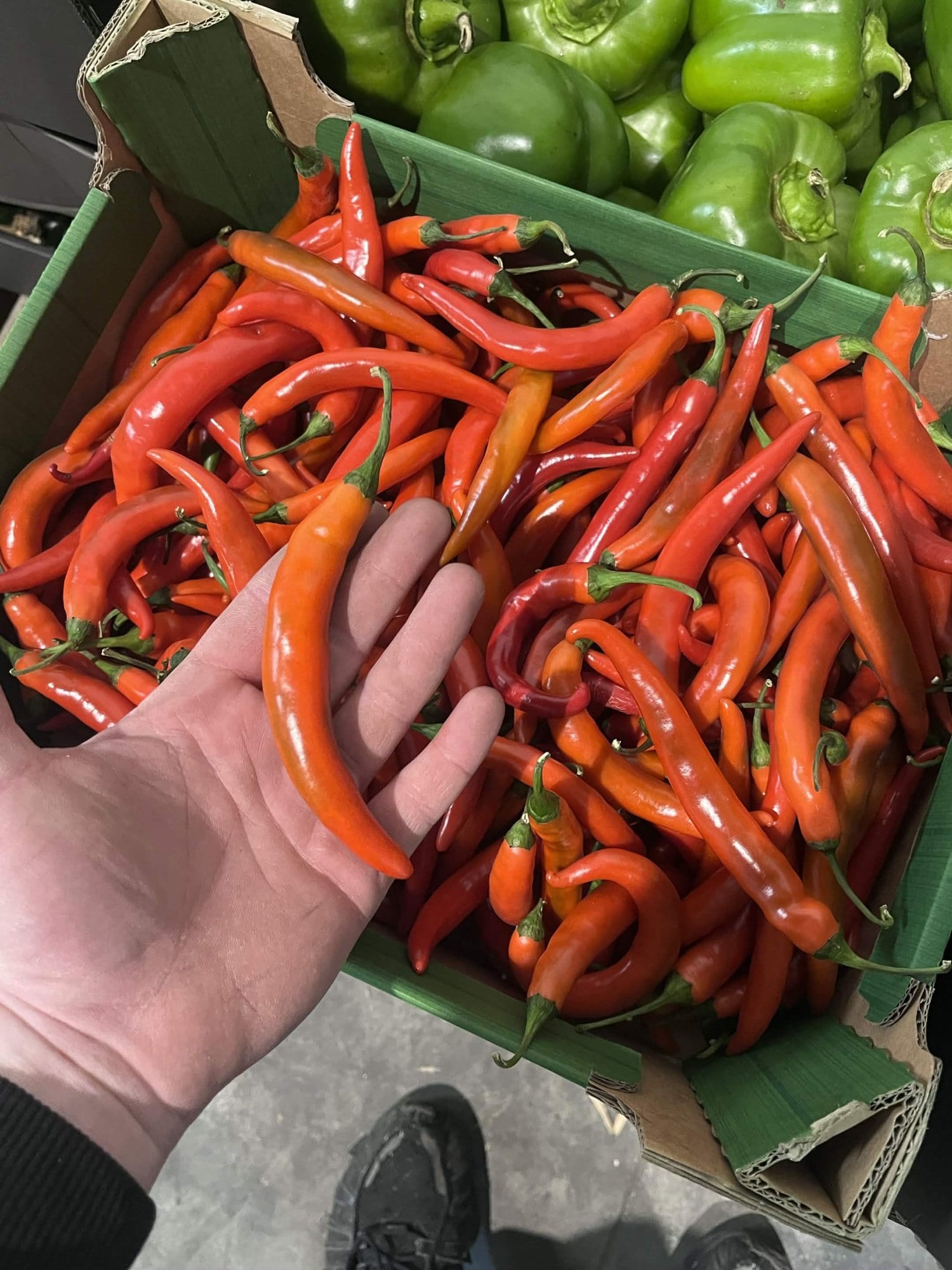 Hiszpańska Papryka Chilli