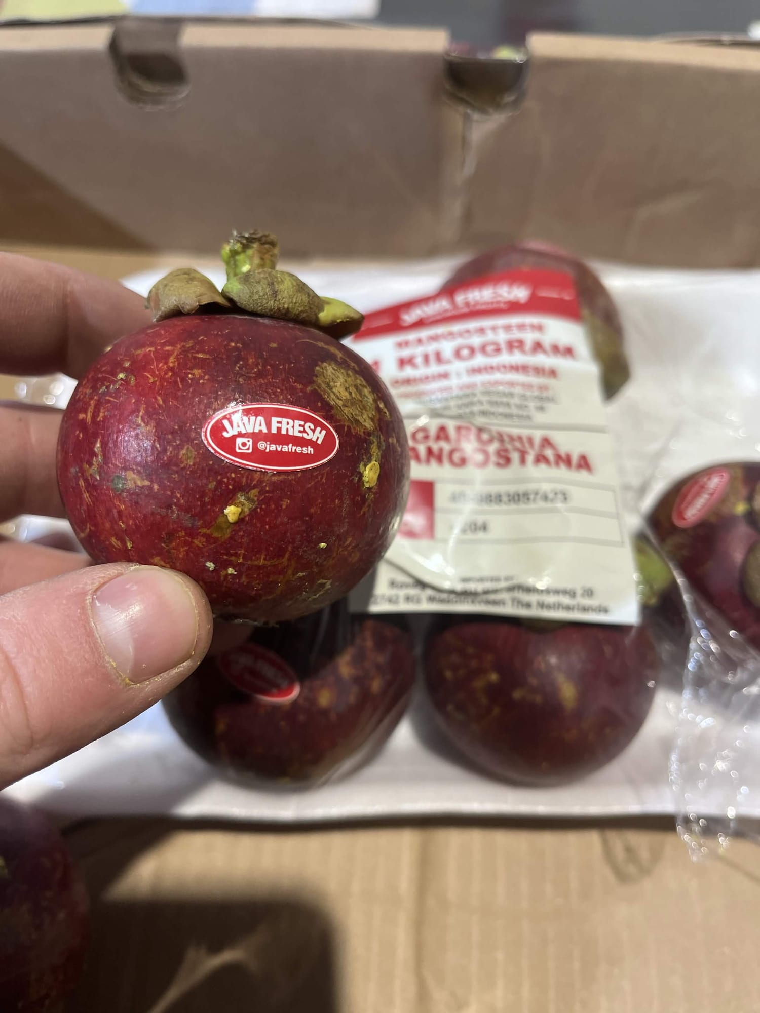 Mangostan (owoc)